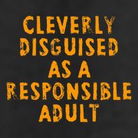 Cleverly Disguised As A Responsible Tumbler