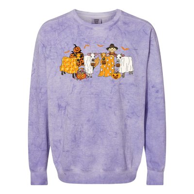 Cow Dressed As Ghost Farm Animal Spooky Season Halloween Colorblast Crewneck Sweatshirt