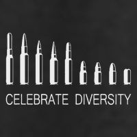 Celebrate Diversity Ammo Bullet Funny Pro Gun Ammunition 7 Panel Mesh Trucker Snapback Hat