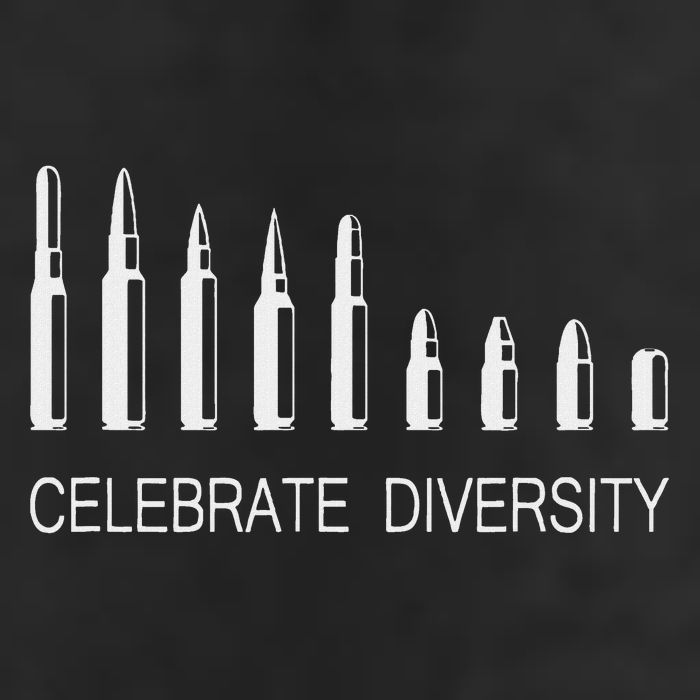 Celebrate Diversity Ammo Bullet Funny Pro Gun Ammunition 7 Panel Mesh Trucker Snapback Hat