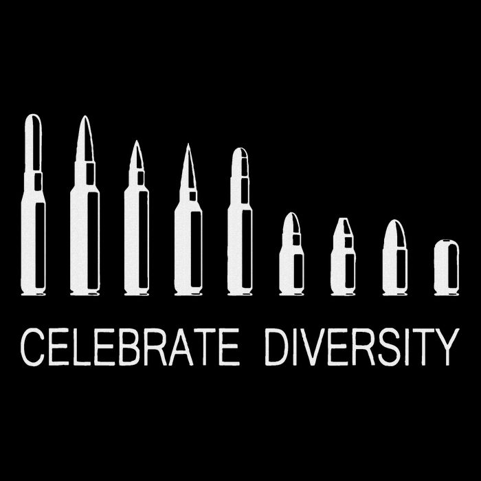 Celebrate Diversity Ammo Bullet Funny Pro Gun Ammunition 16 in Basic Backpack
