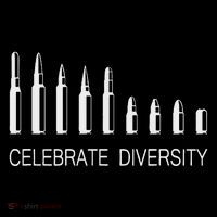 Celebrate Diversity Ammo Bullet Funny Pro Gun Ammunition Womens T-Shirt