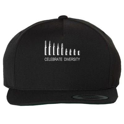 Celebrate Diversity Ammo Bullet Funny Pro Gun Ammunition Wool Snapback Cap