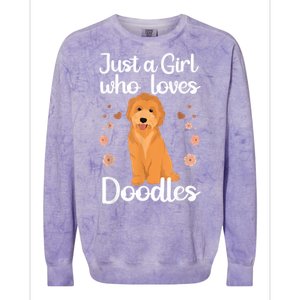 Cute Doodle Art For Women Mom Golden Doodle Dog Lovers Colorblast Crewneck Sweatshirt