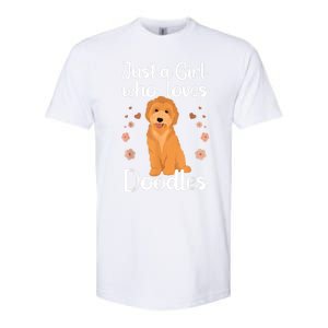 Cute Doodle Art For Women Mom Golden Doodle Dog Lovers Softstyle CVC T-Shirt