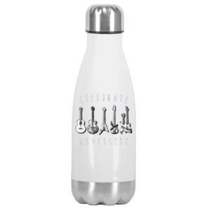 Celebrate Diversity Acoustic Guitar Musician Stainless Steel Insulated Water Bottle