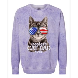 Cat Dad Best Cat Father Ever Fathers Day Christmas Cat Daddy Colorblast Crewneck Sweatshirt