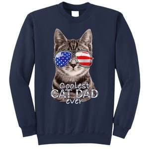 Cat Dad Best Cat Father Ever Fathers Day Christmas Cat Daddy Sweatshirt