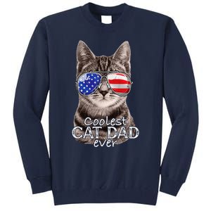 Cat Dad Best Cat Father Ever Fathers Day Christmas Cat Daddy Tall Sweatshirt