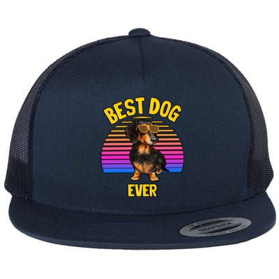 Cute Dachshund Best Dog Puppy Lover Retro Gift Flat Bill Trucker Hat