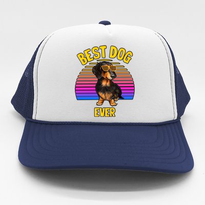 Cute Dachshund Best Dog Puppy Lover Retro Gift Trucker Hat