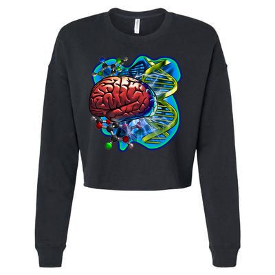 Cool DNA Brain Cropped Pullover Crew