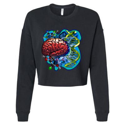 Cool DNA Brain Cropped Pullover Crew