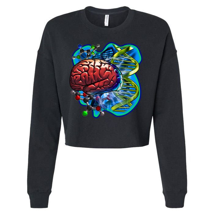 Cool DNA Brain Cropped Pullover Crew