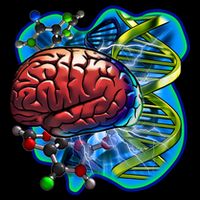 Cool DNA Brain Women's V-Neck T-Shirt