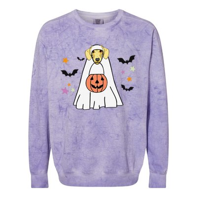 Cream Dachshund Boo Ghost Dog Lover Halloween Colorblast Crewneck Sweatshirt