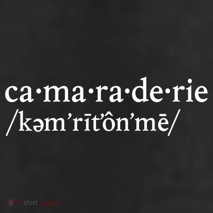 Camaraderie Definition 7 Panel Mesh Trucker Snapback Hat