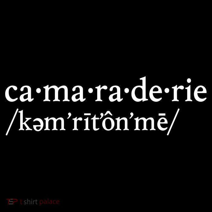 Camaraderie Definition Women's V-Neck T-Shirt