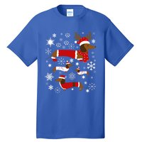 Cute Dachshund Christmas For Dog Lovers Meaningful Gift Tall T-Shirt