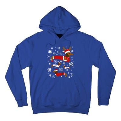 Cute Dachshund Christmas For Dog Lovers Meaningful Gift Tall Hoodie