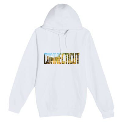 Cool Design Connecticut T Premium Pullover Hoodie