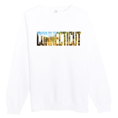 Cool Design Connecticut T Premium Crewneck Sweatshirt