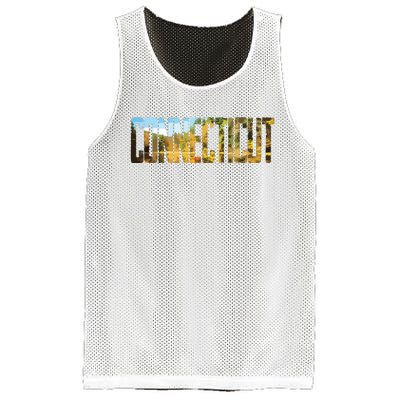 Cool Design Connecticut T Mesh Reversible Basketball Jersey Tank