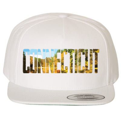 Cool Design Connecticut T Wool Snapback Cap