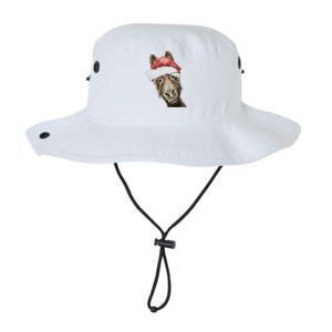 Christmas Donkey, Cute Christmas Donkey Legacy Cool Fit Booney Bucket Hat