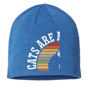 Cat Daddy Catfather Distressed Gift Sustainable Beanie