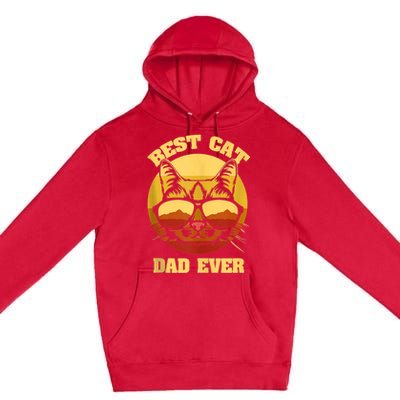 Cat Daddy Cat Lover Gift 80s Retro Best Cat Dad Ever Premium Pullover Hoodie