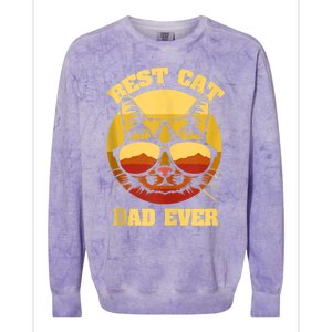 Cat Daddy Cat Lover Gift 80s Retro Best Cat Dad Ever Colorblast Crewneck Sweatshirt