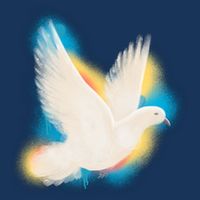 Colorful Dove T-Shirt