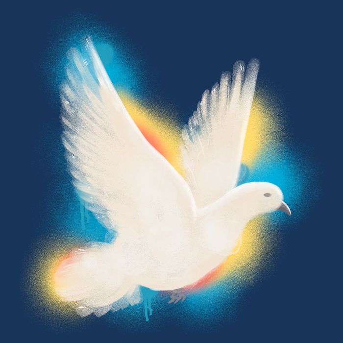 Colorful Dove T-Shirt