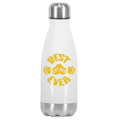 Cat Dad Stainless Steel Insulated Water Bottle