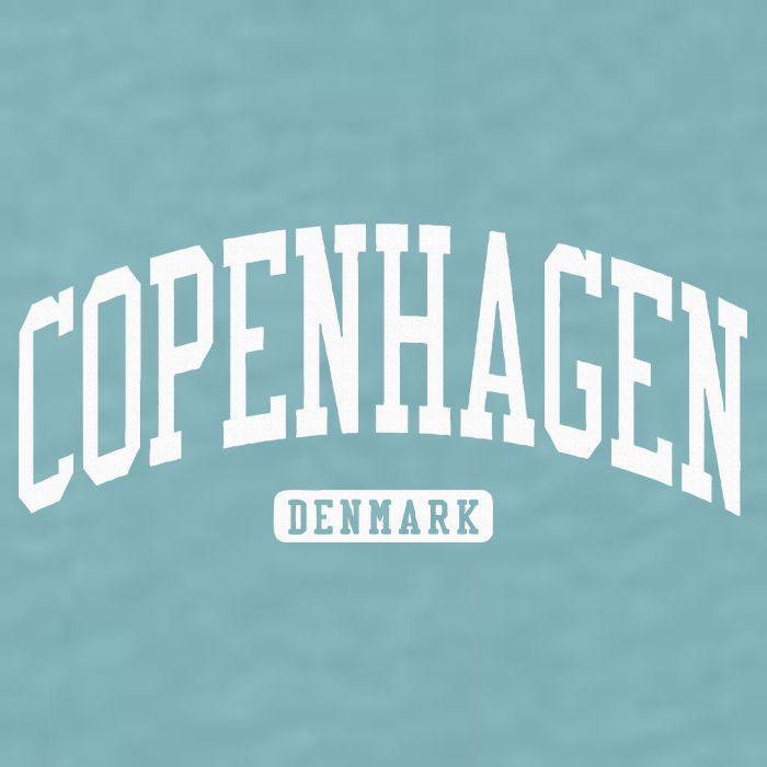 Copenhagen Denmark College University Style Sueded Cloud Jersey T-Shirt