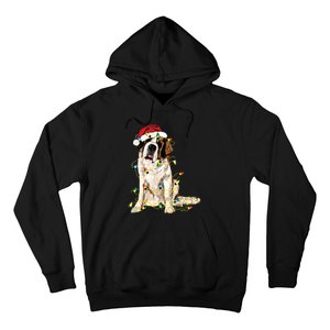 Christmas Dog Cute Christmas Gift For Dog Lover Hoodie