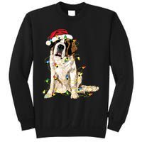 Christmas Dog Cute Christmas Gift For Dog Lover Sweatshirt