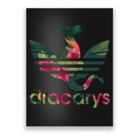 Cool Dracarys Dragon With Stripes Poster