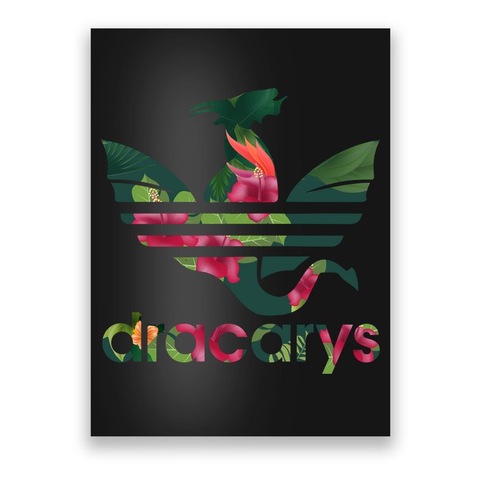 Cool Dracarys Dragon With Stripes Poster