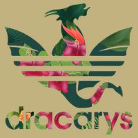 Cool Dracarys Dragon With Stripes Button
