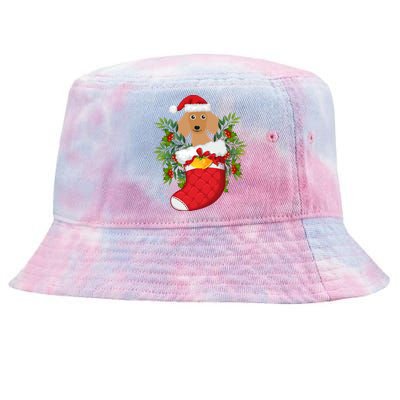 Christmas Daschund Doxie Inside Socks Great Gift Tie-Dyed Bucket Hat