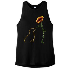 Cute Dog Dog Lover My Sunshine Labrador Retriever Ladies PosiCharge Tri-Blend Wicking Tank