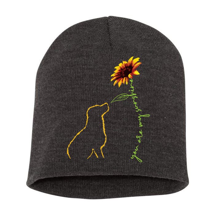 Cute Dog Dog Lover My Sunshine Labrador Retriever Short Acrylic Beanie