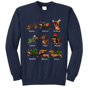 Christmas Deer Dachshund Custom Dog Name Santa Hat Xmas Tree Tall Sweatshirt