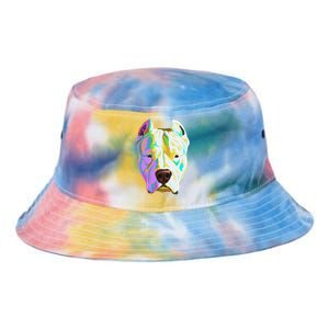 Colourful Dog Dogo Argentino Pullover Hoodie Tie Dye Newport Bucket Hat