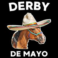Cinco De Derby Funny Horse Racing 16 in Basic Backpack