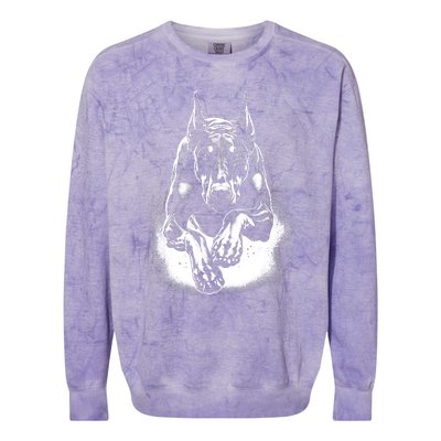 Cool Doberman Dog In Jump Colorblast Crewneck Sweatshirt