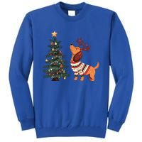 Cute Dachshund Decorate Christmas Tree Merry Xmas Dog Lover Gift Tall Sweatshirt