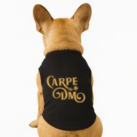 Carpe Dm Dungeon Master Tabletop Rpg Gaming Doggie Tank